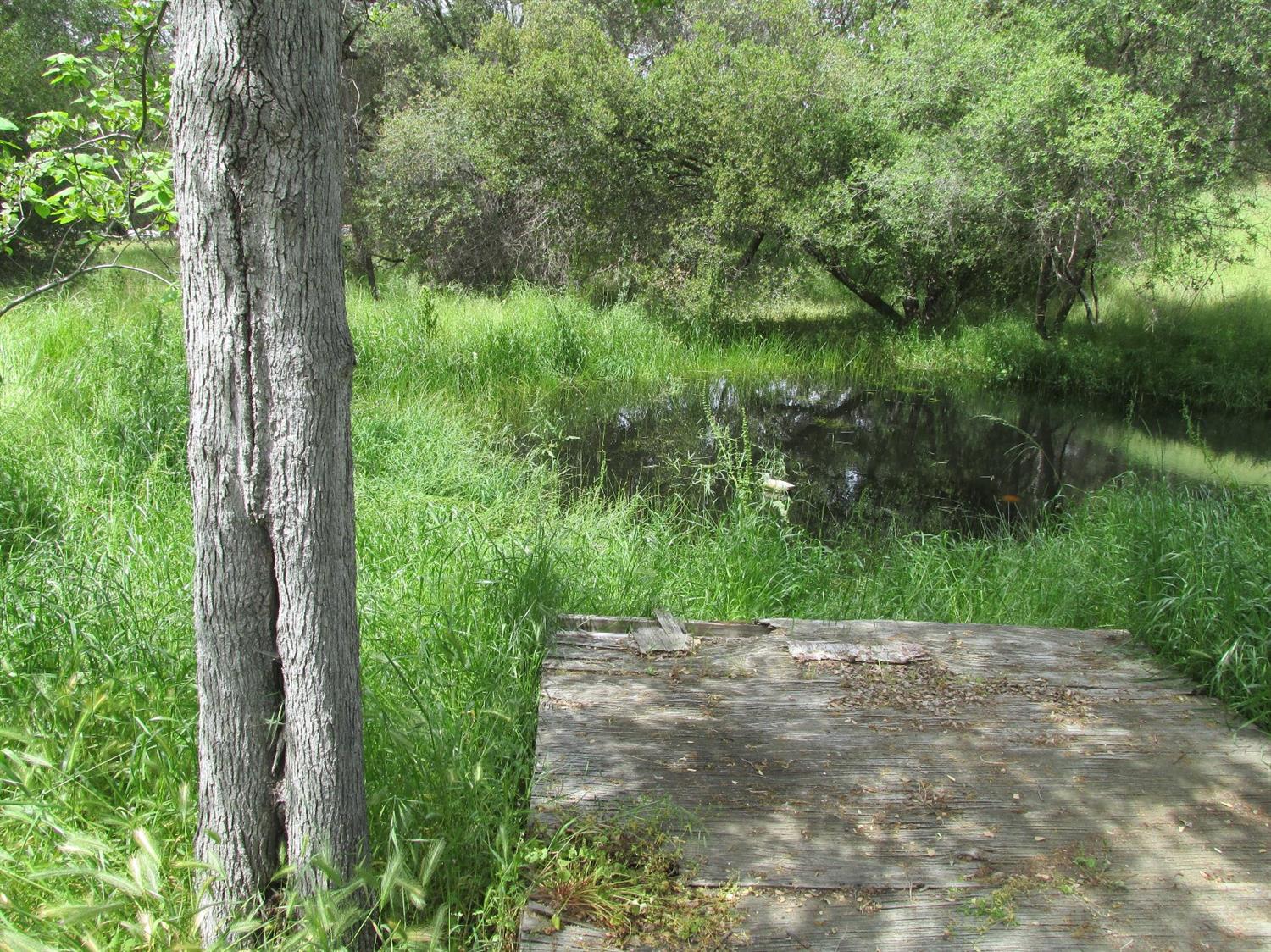46437 Skyline Ridge Road Coarsegold, CA 93614 - Photo 85 of 86 Gallery Image 85