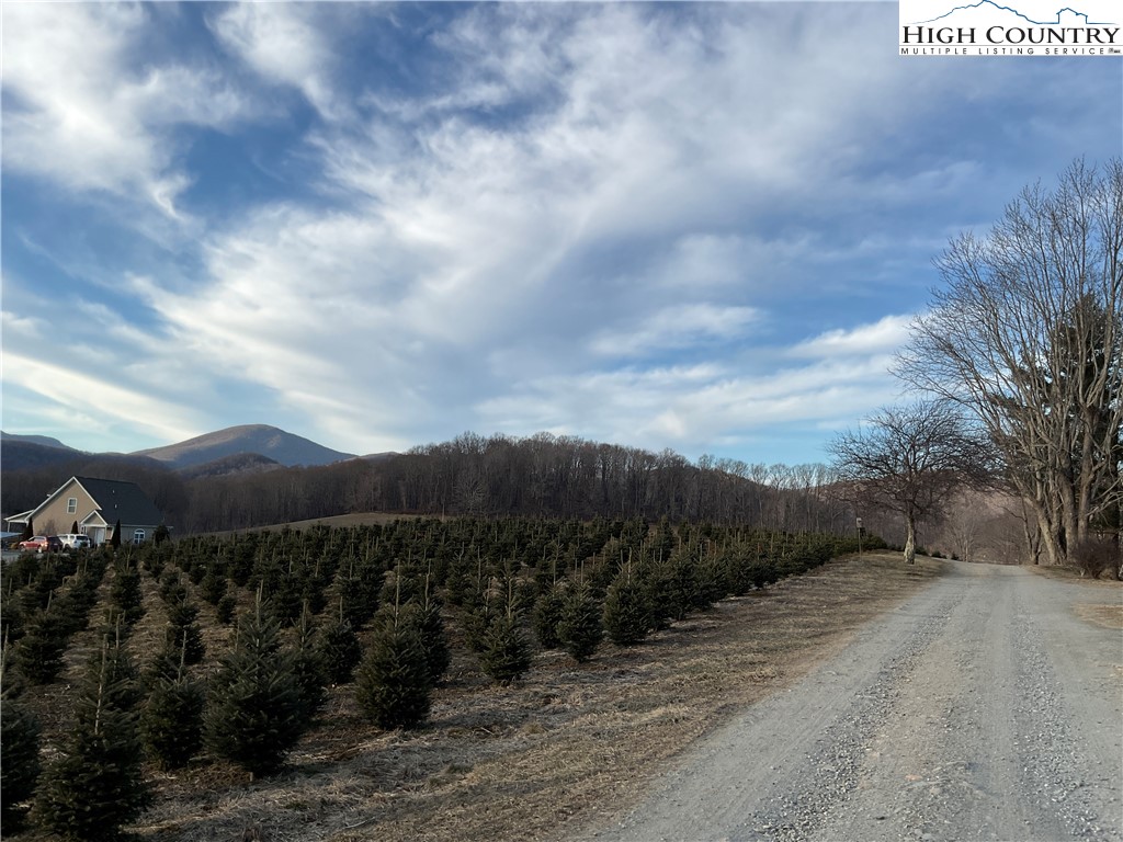 269 Panoramic Lane Boone, NC 28607 - Photo 24 of 32 Gallery Image 24