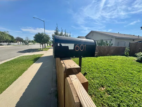 a view of a garden with wooden fence