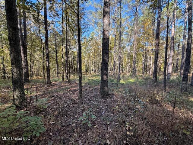 Perry Chapel Road Ashland, MS 38603 - Photo 25 of 26 IMG_2692