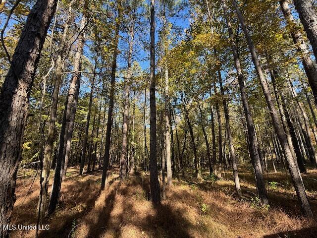 Perry Chapel Road Ashland, MS 38603 - Photo 26 of 26 IMG_2696