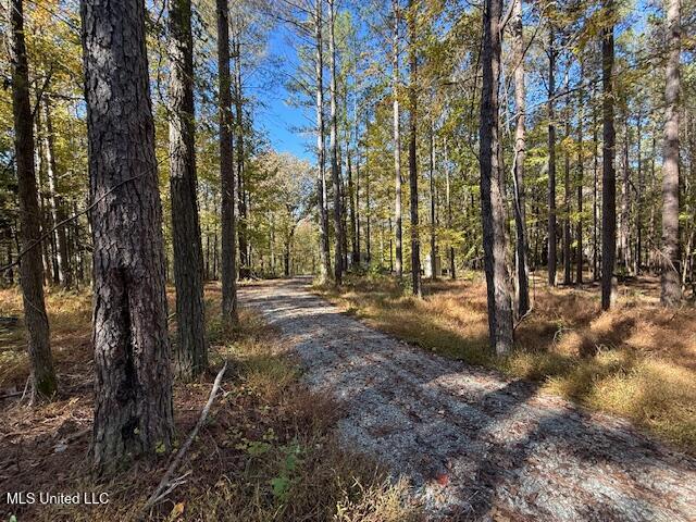 Perry Chapel Road Ashland, MS 38603 - Photo 6 of 26 IMG_2695