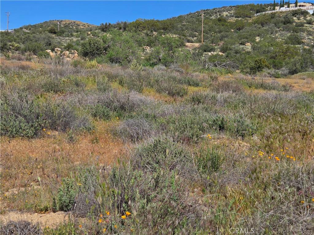 3 Fletcher Anza, CA 92539 - Photo 2 of 6