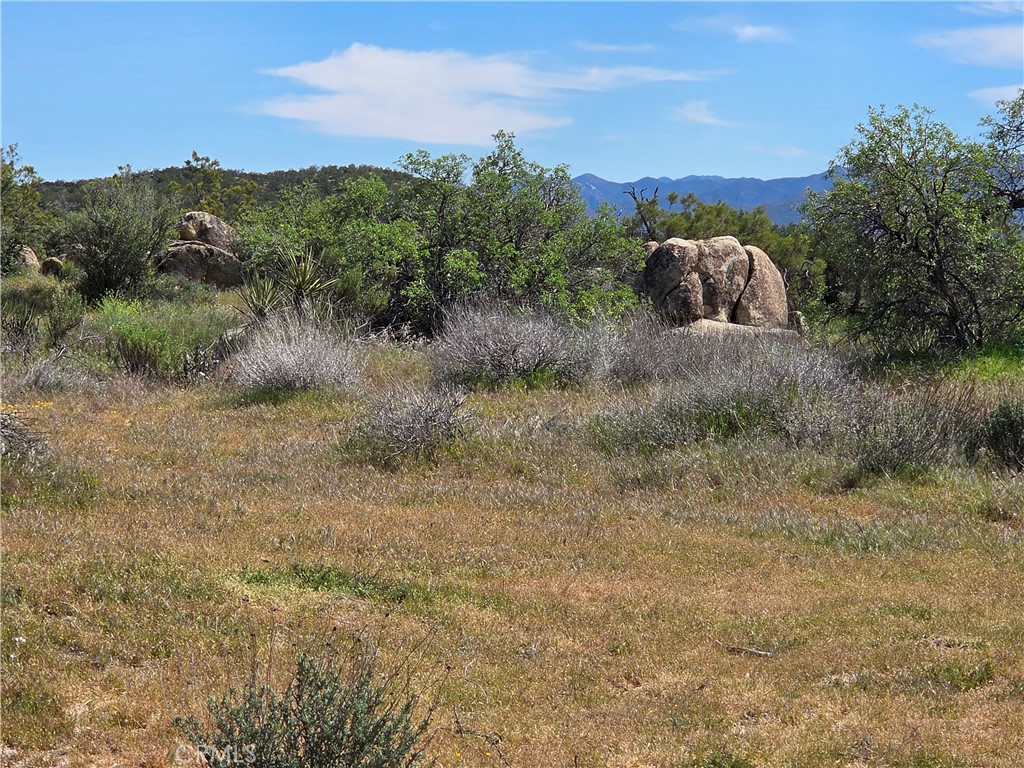 3 Fletcher Anza, CA 92539 - Photo 4 of 6