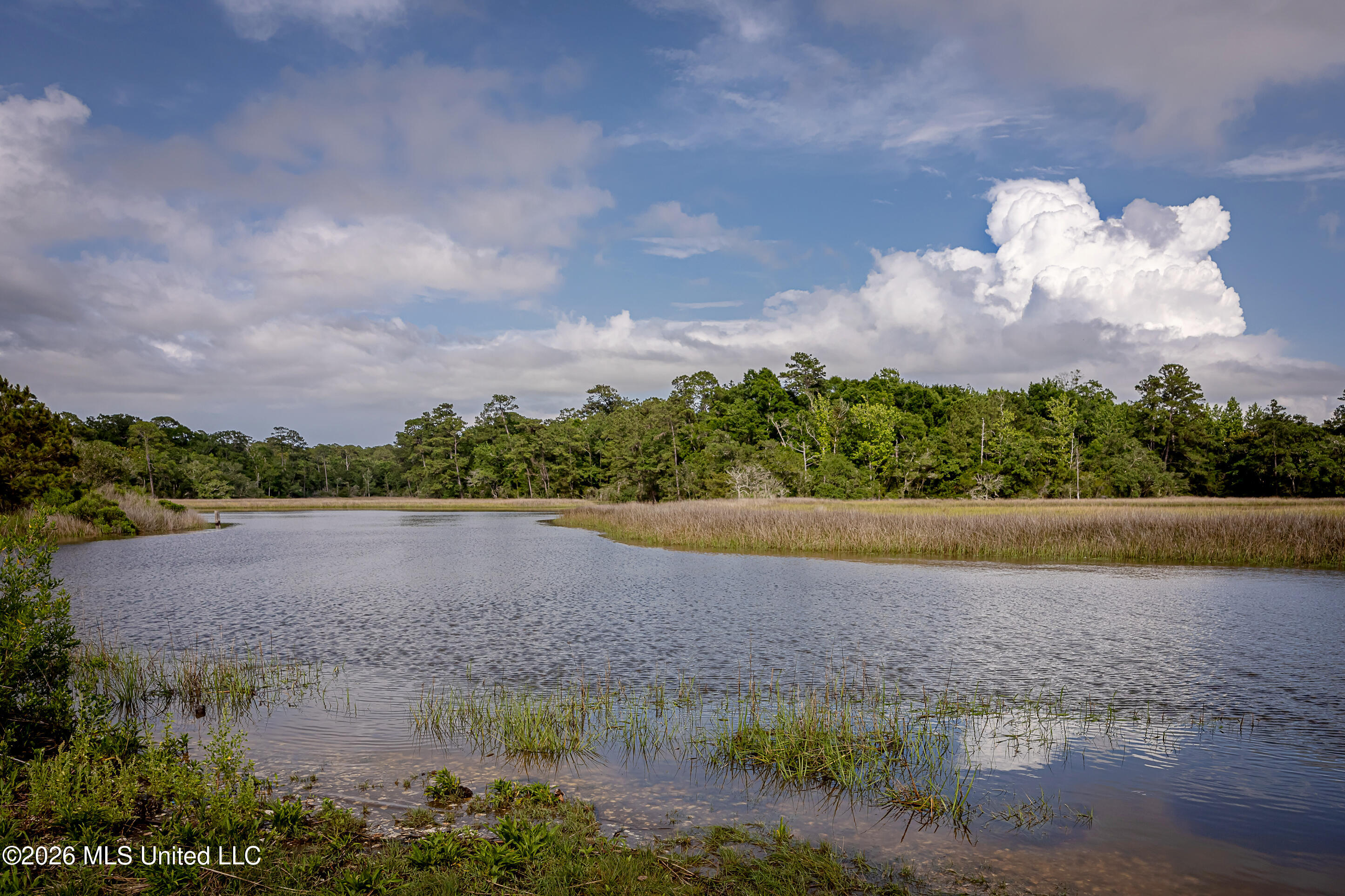 0 Eagle Point Road Ocean Springs, MS 39564 - Photo 19 of 48 IMG_9719
