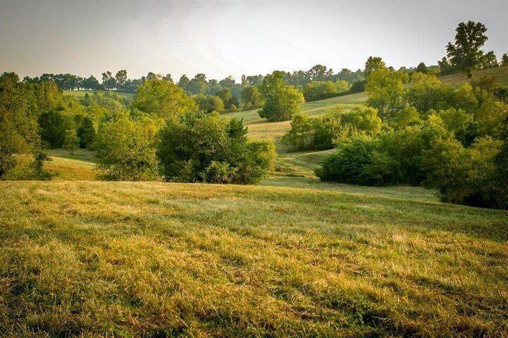 0 Deer Chase Road Danville, KY 40422 - Photo 6 of 20 deer chase 16
