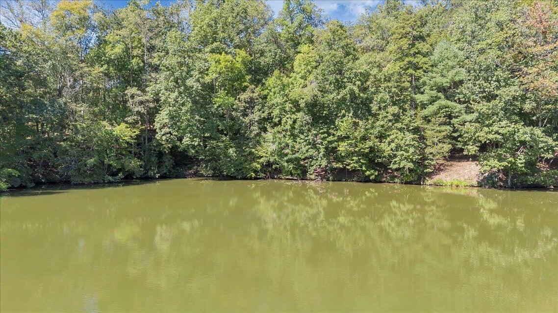 0 Bridgewater Lane Moneta, VA 24121 - Photo 17 of 33 17