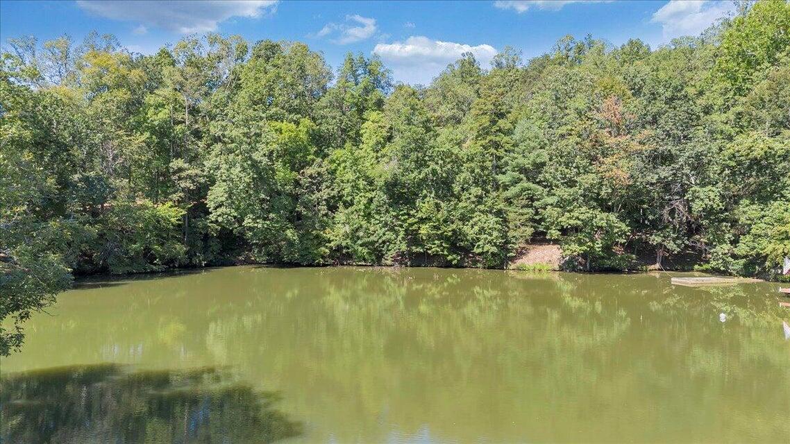 0 Bridgewater Lane Moneta, VA 24121 - Photo 18 of 33 18