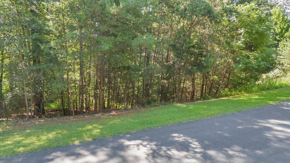 0 Bridgewater Lane Moneta, VA 24121 - Photo 29 of 33 29