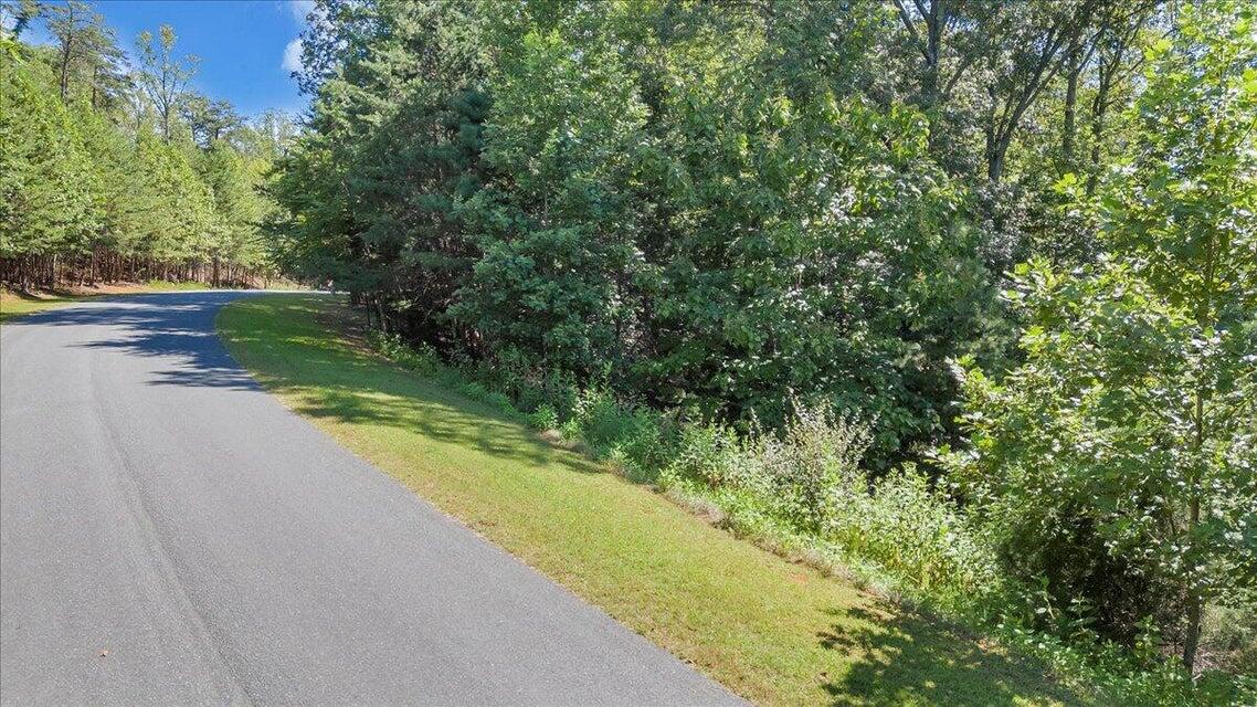 0 Bridgewater Lane Moneta, VA 24121 - Photo 30 of 33 30