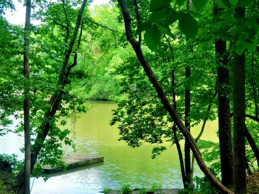 0 Bridgewater Lane Moneta, VA 24121 - Photo 31 of 33 31