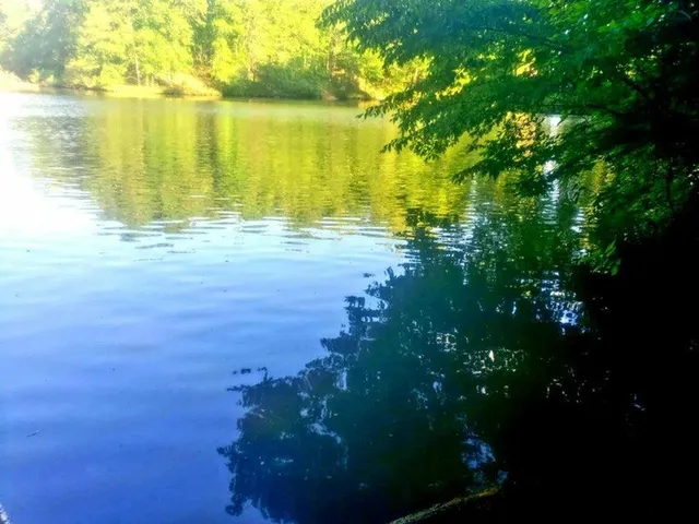 $429,000 | 0 Bridgewater Lane, Moneta, VA 24121