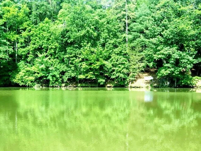 $429,000 | 0 Bridgewater Lane, Moneta, VA 24121