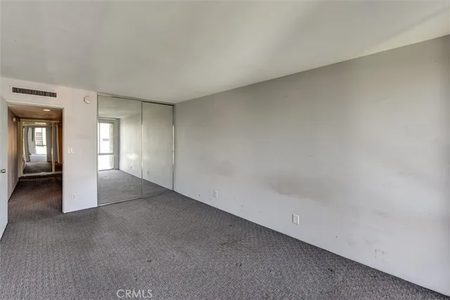 a view of a big room with closet and windows