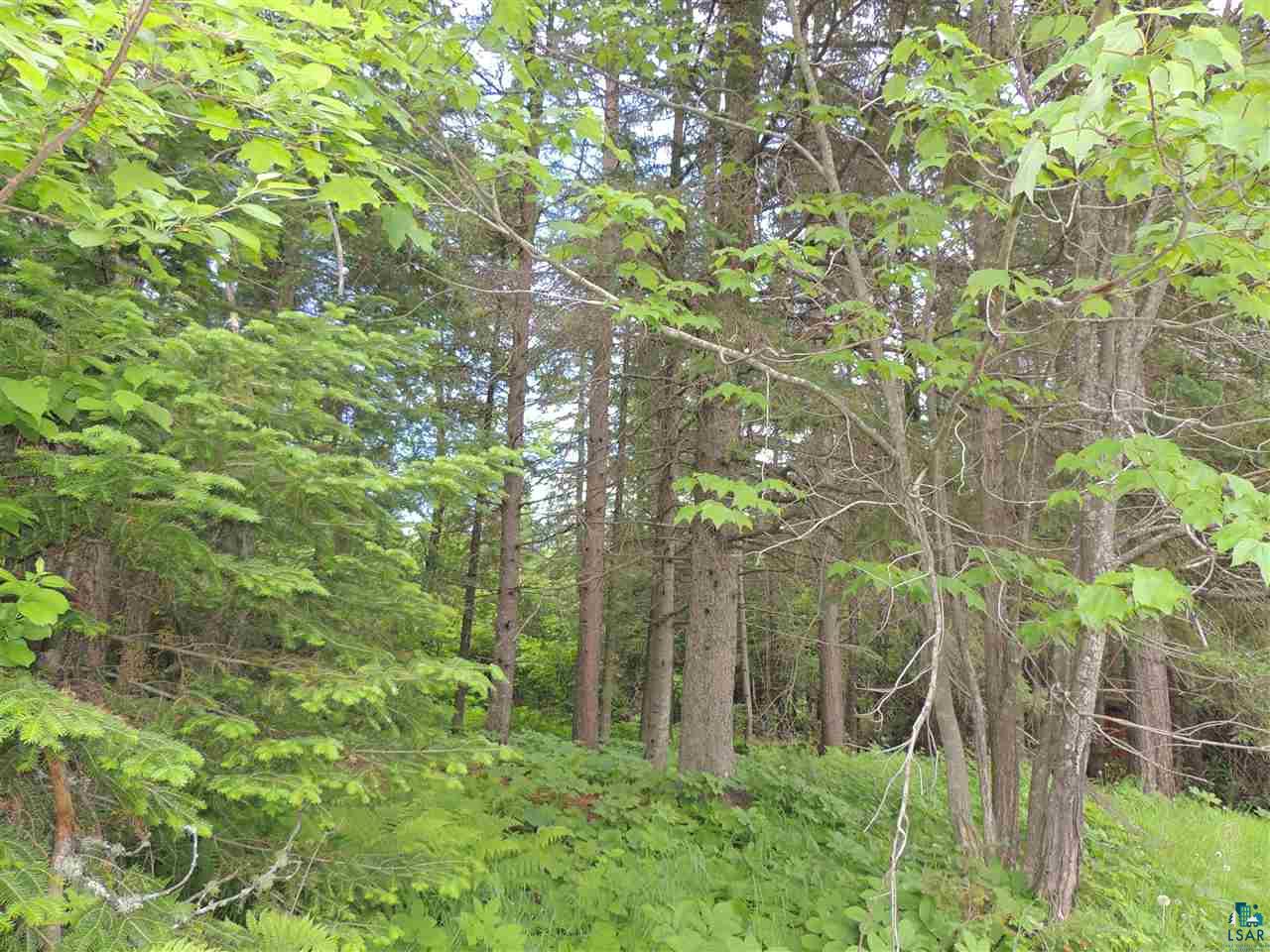 918 Cutoff Road Grand Marais, MN 55604 - Photo 12 of 27 Gallery Image 12