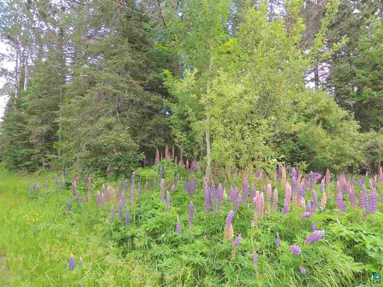 918 Cutoff Road Grand Marais, MN 55604 - Photo 17 of 27 Gallery Image 17