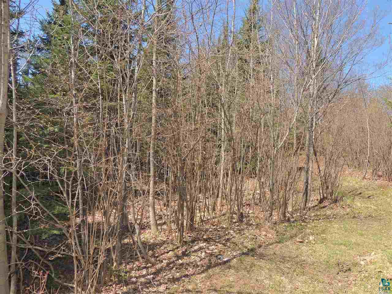 918 Cutoff Road Grand Marais, MN 55604 - Photo 25 of 27 Gallery Image 25