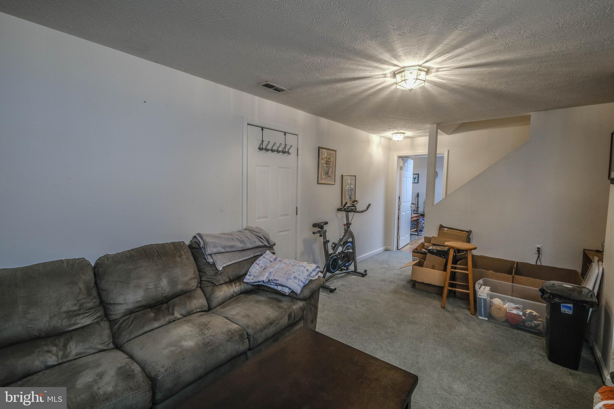 2857 Reliance Road Middletown, VA 22645 - Photo 54 of 88 Seller enjoys entertaining in the lower level!