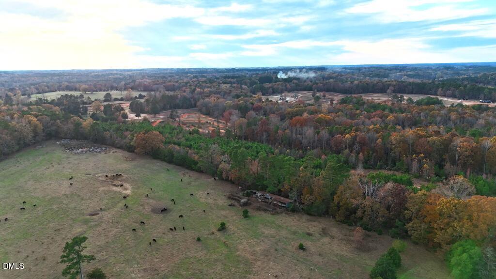 Lot 1 Cheeks Quarter Road Henderson, NC 27537 - Photo 9 of 18 a view of a dry yard with wooden floor and mountain view