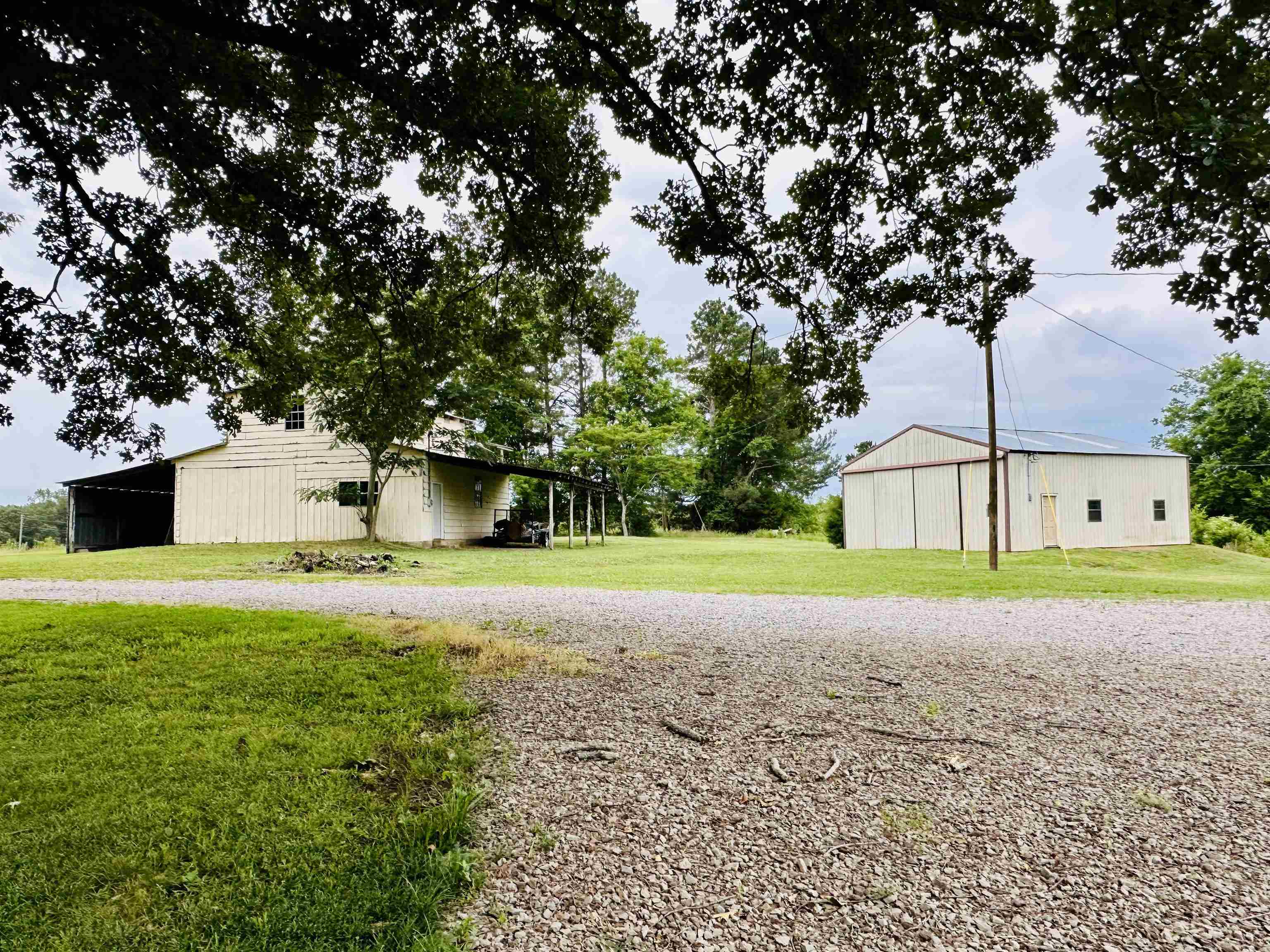 2733 New Hope Road Guys, TN 38339 - Photo 20 of 25 a view of a yard with plants and large trees