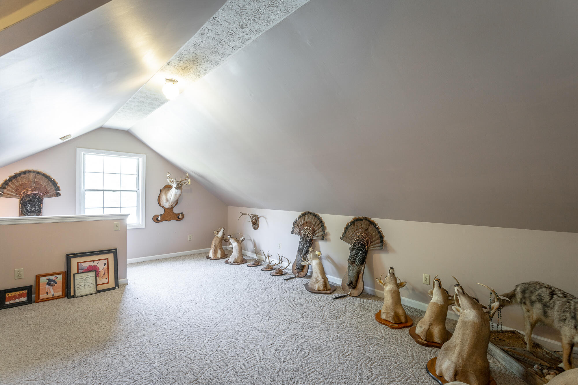 63 Mel McDaniel Road Ringgold, GA 30736 - Photo 70 of 97 Attic