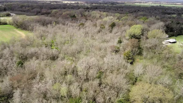 a view of a green field with lots of trees