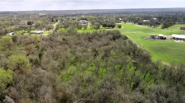 a view of a dry yard with trees all around
