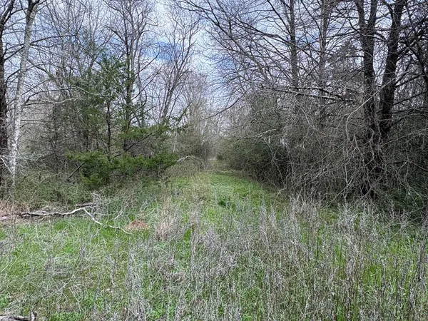 a view of a field of grass and trees