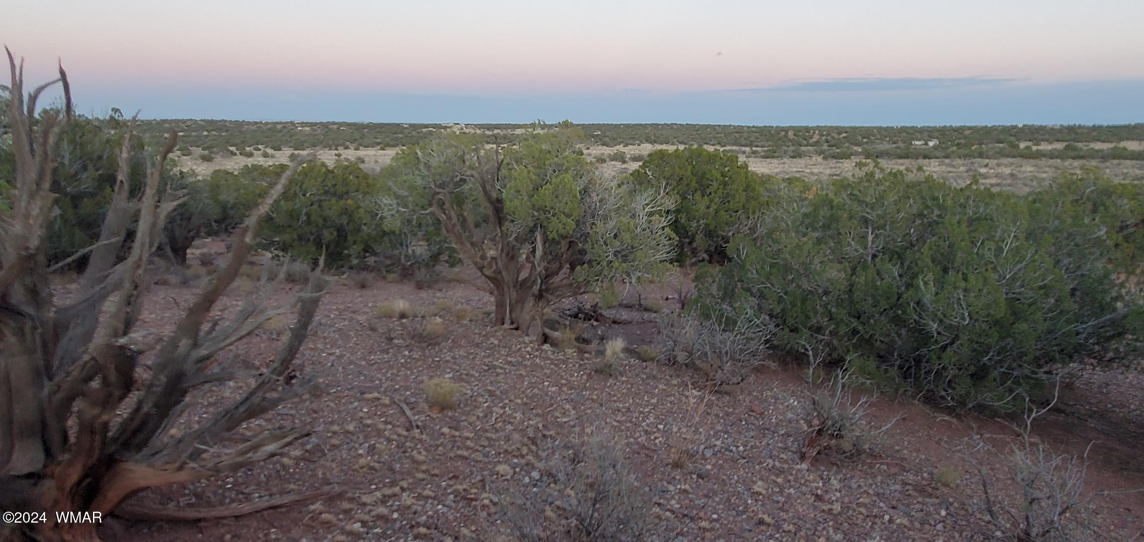 4230 Stirrup Road Snowflake, AZ 85937 - Photo 14 of 35 a view of a forest with a lake