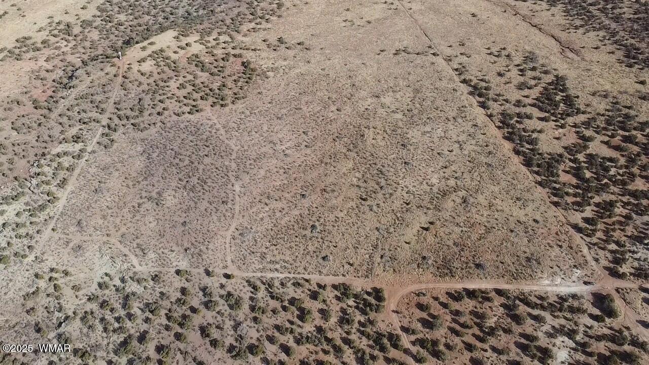 4230 Stirrup Road Snowflake, AZ 85937 - Photo 23 of 35 a view of a dry yard