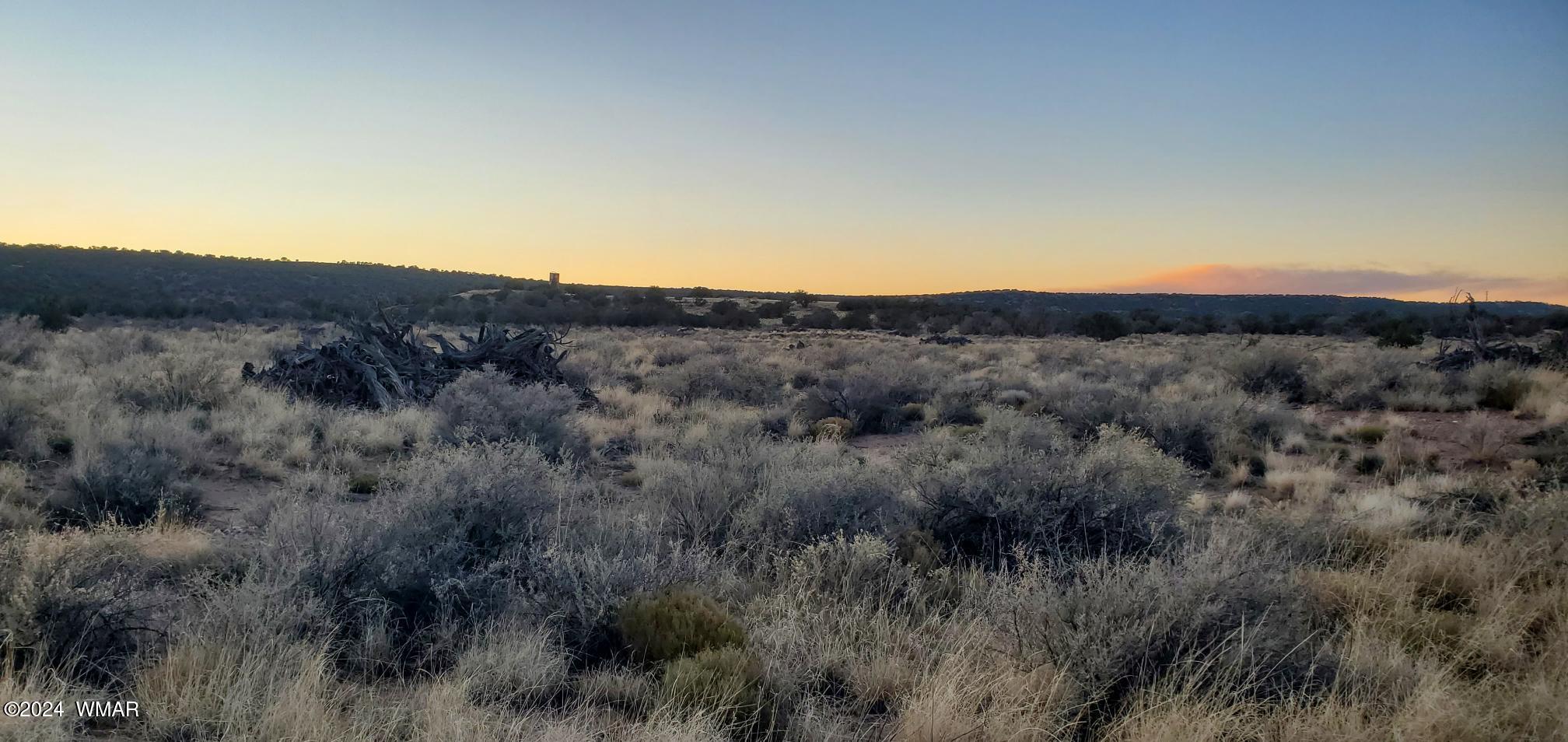 4230 Stirrup Road Snowflake, AZ 85937 - Photo 3 of 35 a view of a mountain range with trees in the background