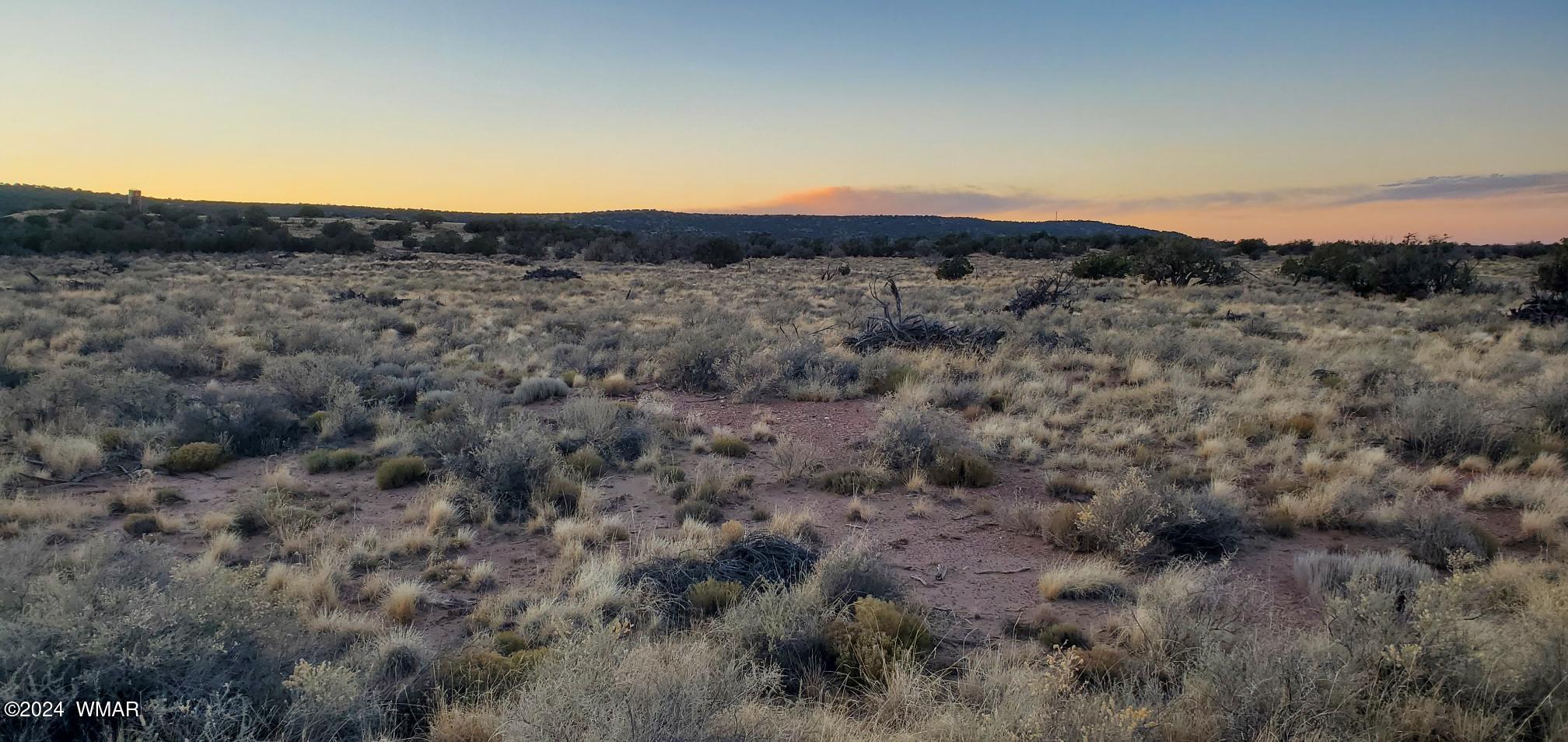 4230 Stirrup Road Snowflake, AZ 85937 - Photo 6 of 35 a view of a mountain in the distance in a field