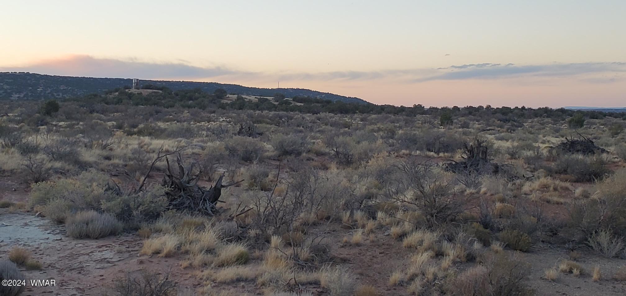 4230 Stirrup Road Snowflake, AZ 85937 - Photo 9 of 35 a view of city and mountain