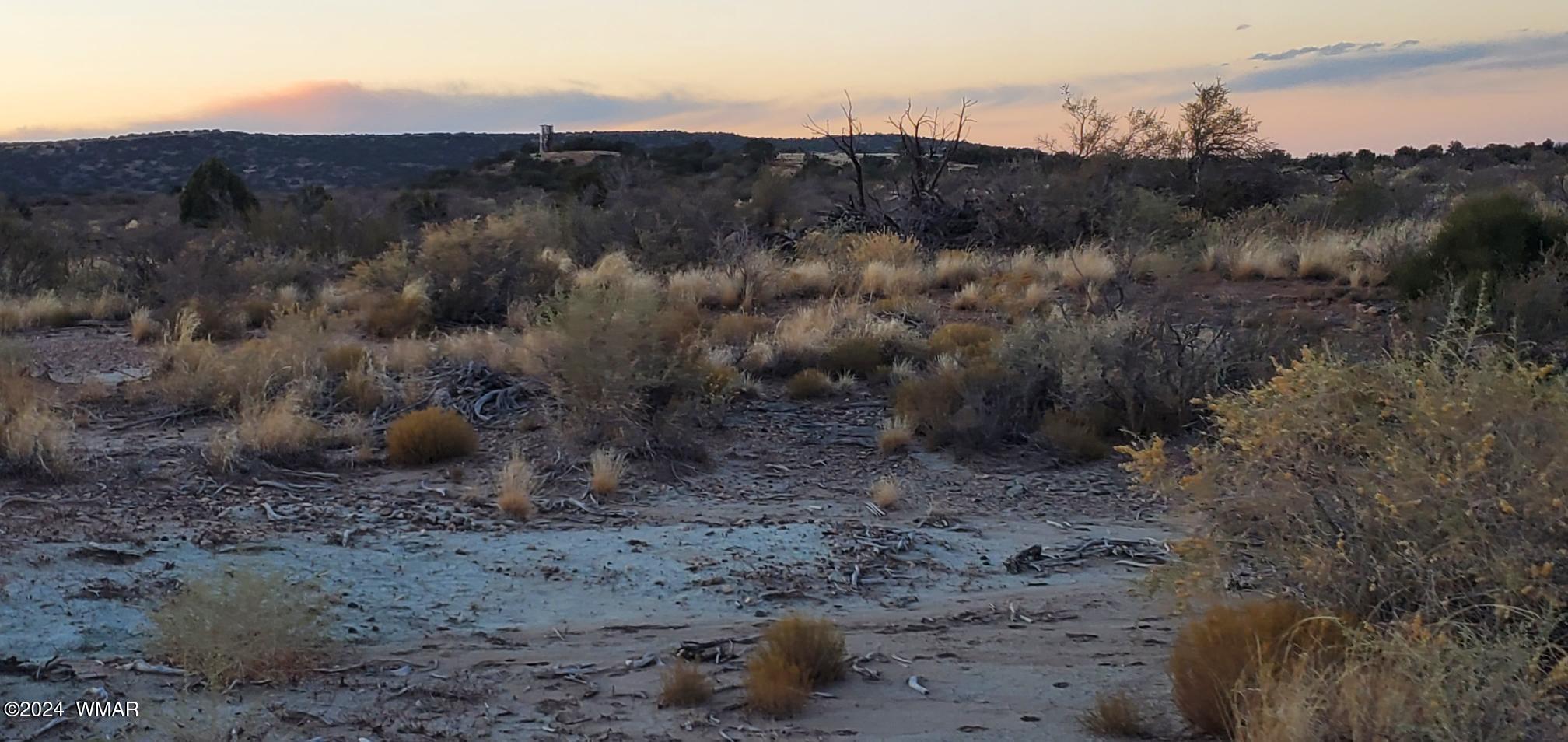 4230 Stirrup Road Snowflake, AZ 85937 - Photo 10 of 35 a view of a dry top field
