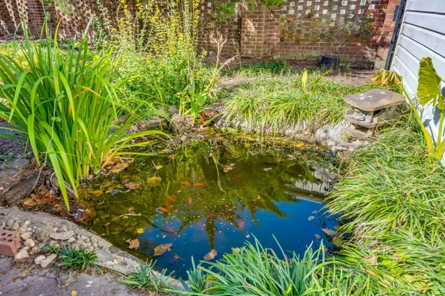 $315,000 | 6717 Charleston Highway, Bowman, SC 29018