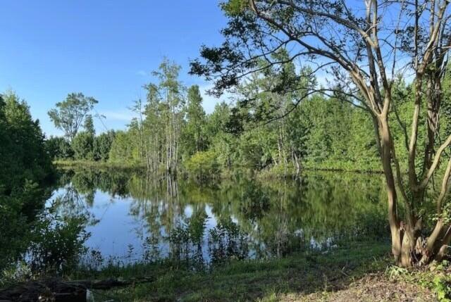 121 State Rd S-6-636 Barnwell, SC 29812 - Photo 20 of 24
