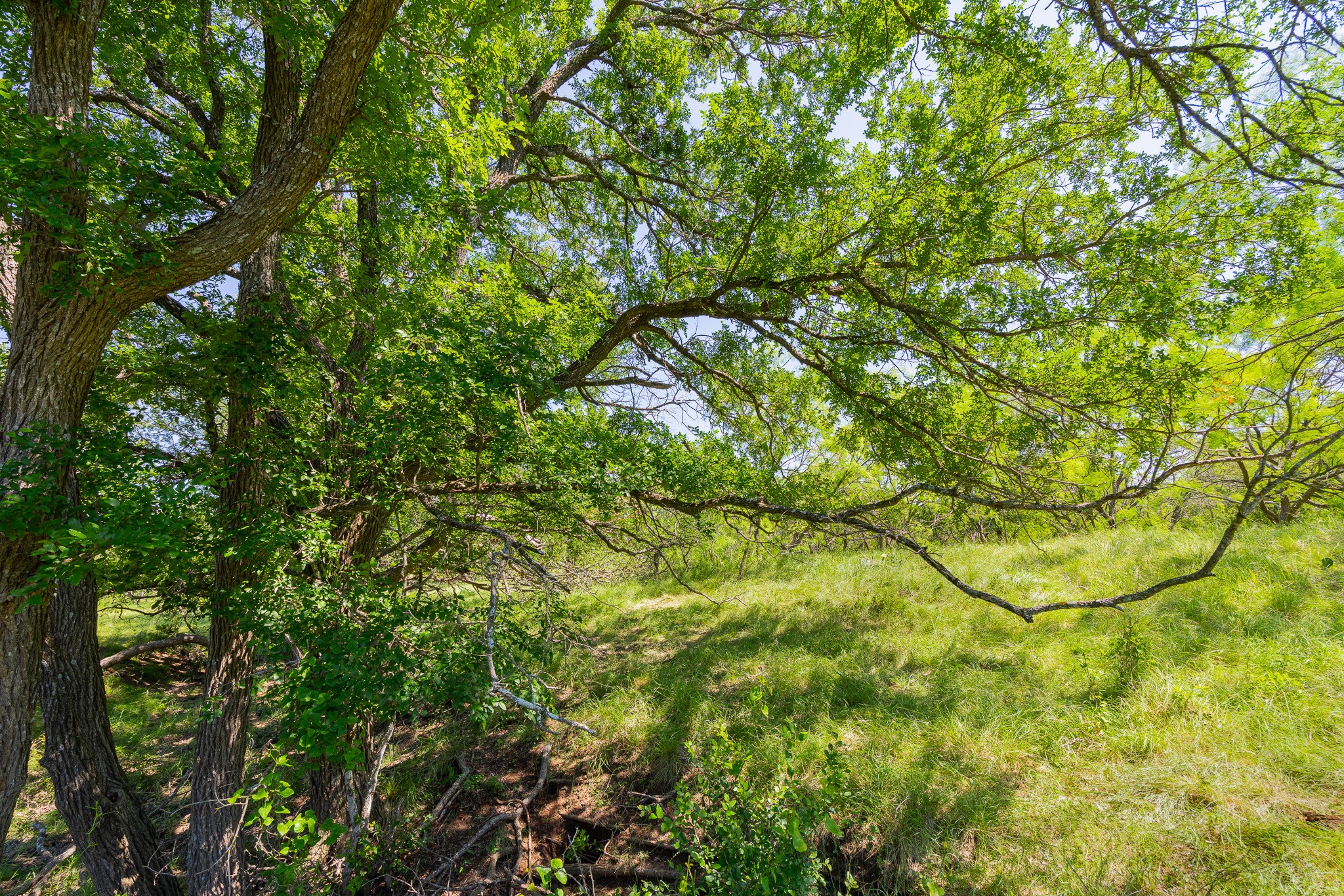 180 Rd Purmela Tx 76566 Road Purmela, TX 76566 - Photo 14 of 27 Gallery Image 14