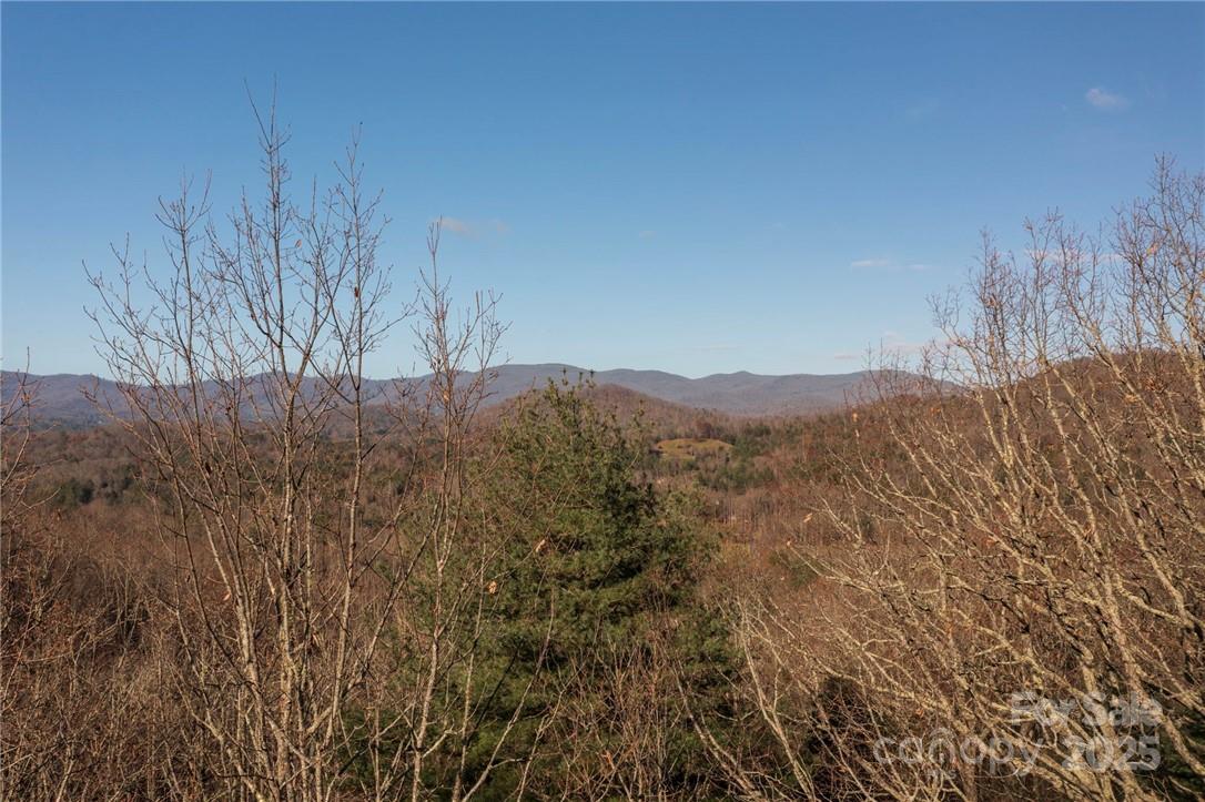 99999 Bishop Cove Road Fairview, NC 28730 - Photo 1 of 28 Gallery Image 1