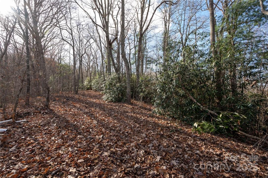 99999 Bishop Cove Road Fairview, NC 28730 - Photo 11 of 28 Gallery Image 11