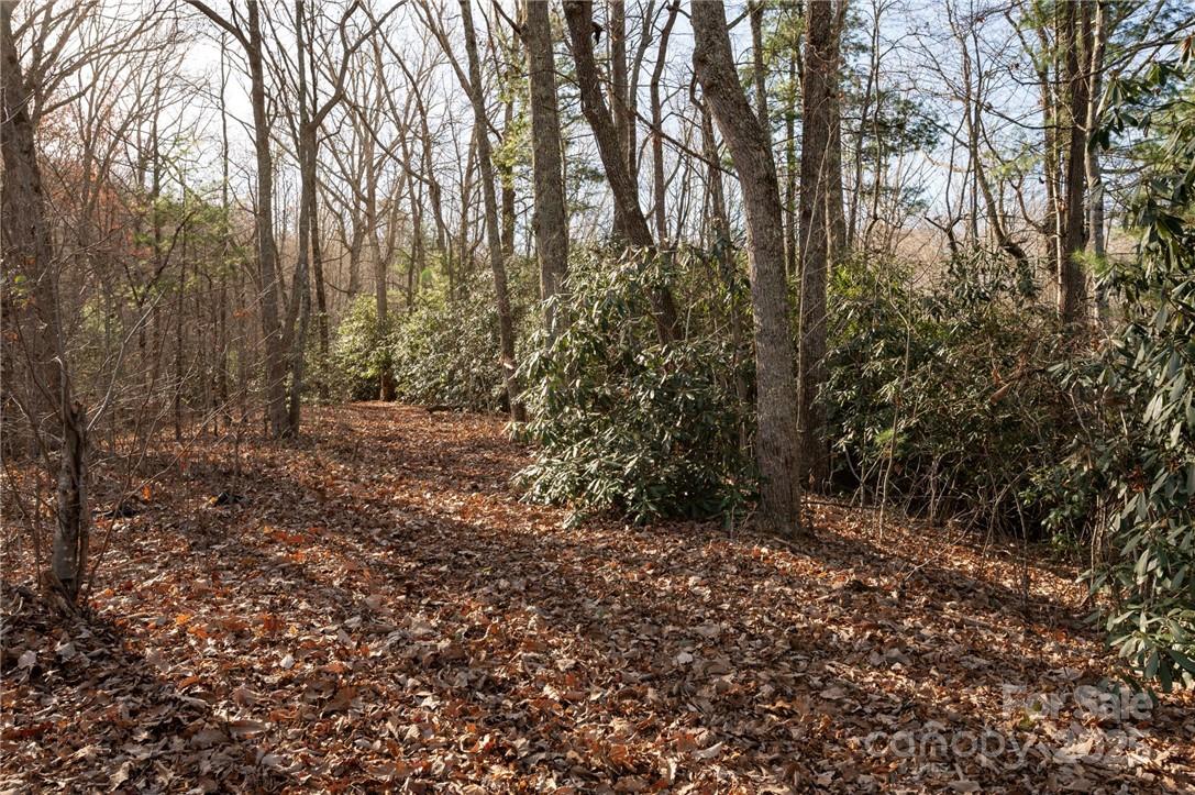 99999 Bishop Cove Road Fairview, NC 28730 - Photo 12 of 28 Gallery Image 12