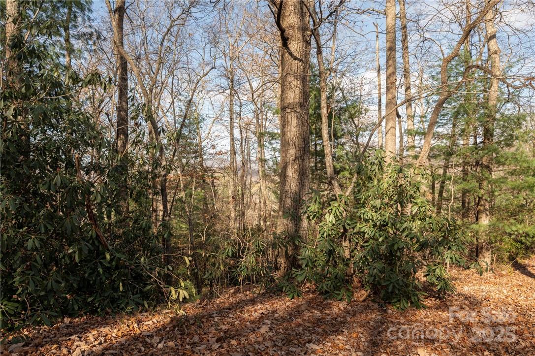 99999 Bishop Cove Road Fairview, NC 28730 - Photo 13 of 28 Gallery Image 13