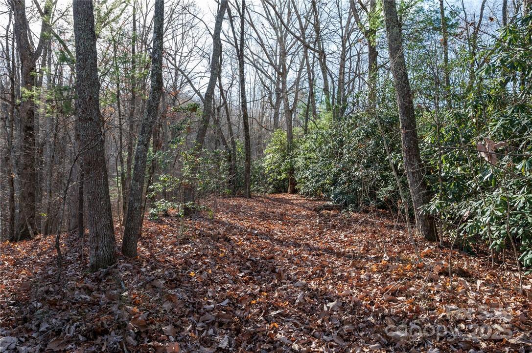 99999 Bishop Cove Road Fairview, NC 28730 - Photo 14 of 28 Gallery Image 14
