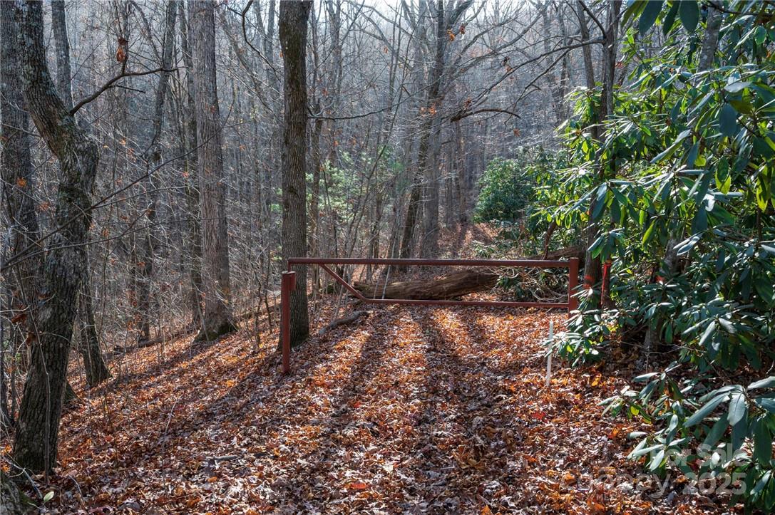 99999 Bishop Cove Road Fairview, NC 28730 - Photo 15 of 28 Gallery Image 15