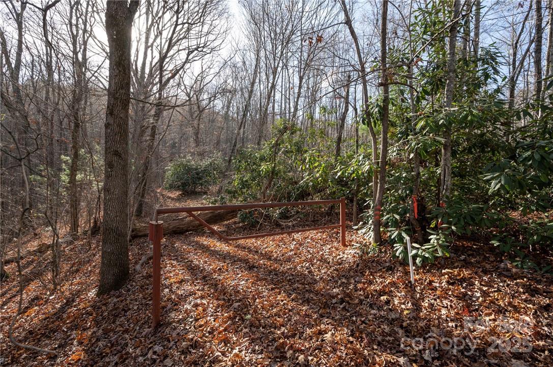 99999 Bishop Cove Road Fairview, NC 28730 - Photo 16 of 28 Gallery Image 16