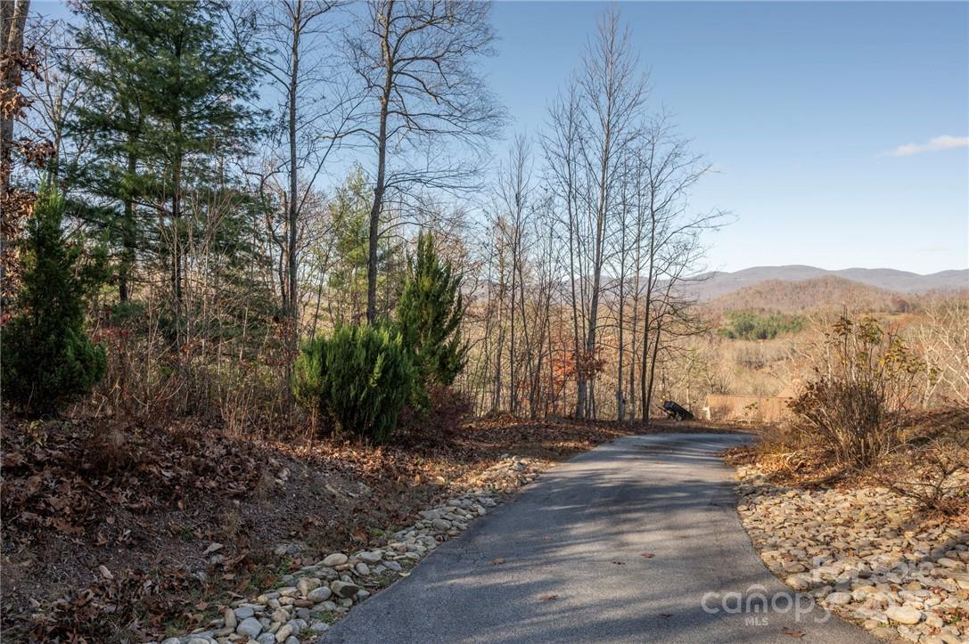 99999 Bishop Cove Road Fairview, NC 28730 - Photo 17 of 28 Gallery Image 17