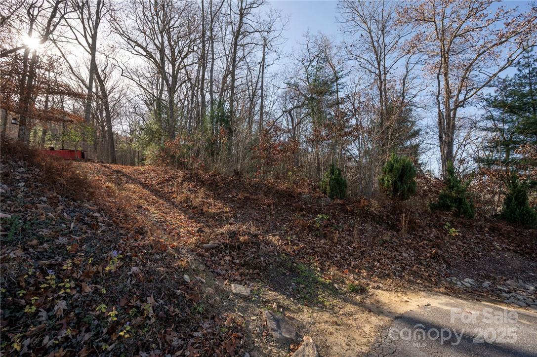99999 Bishop Cove Road Fairview, NC 28730 - Photo 18 of 28 Gallery Image 18
