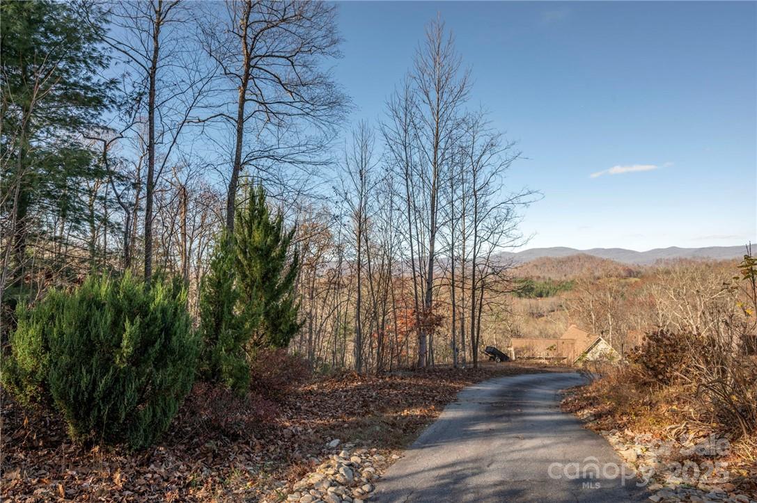 99999 Bishop Cove Road Fairview, NC 28730 - Photo 19 of 28 Gallery Image 19