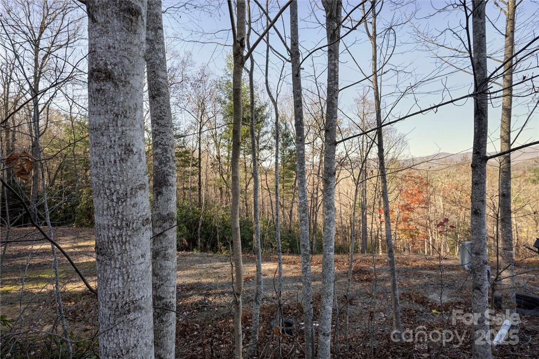 99999 Bishop Cove Road Fairview, NC 28730 - Photo 20 of 28 Gallery Image 20