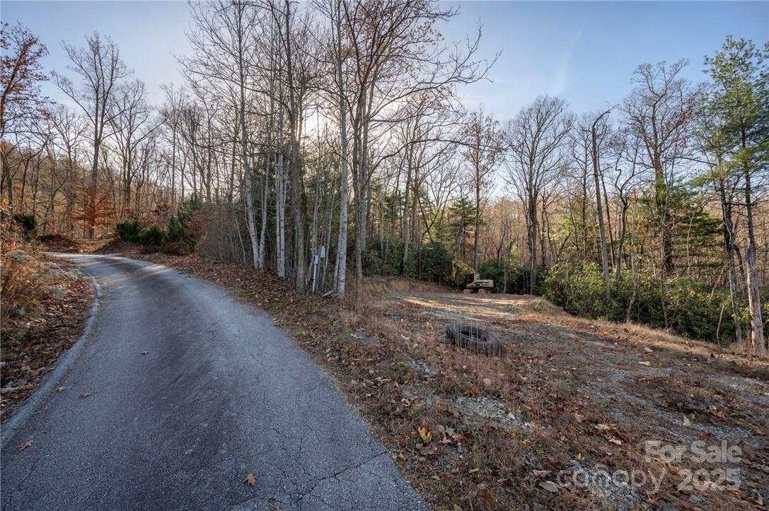 99999 Bishop Cove Road Fairview, NC 28730 - Photo 21 of 28 Gallery Image 21