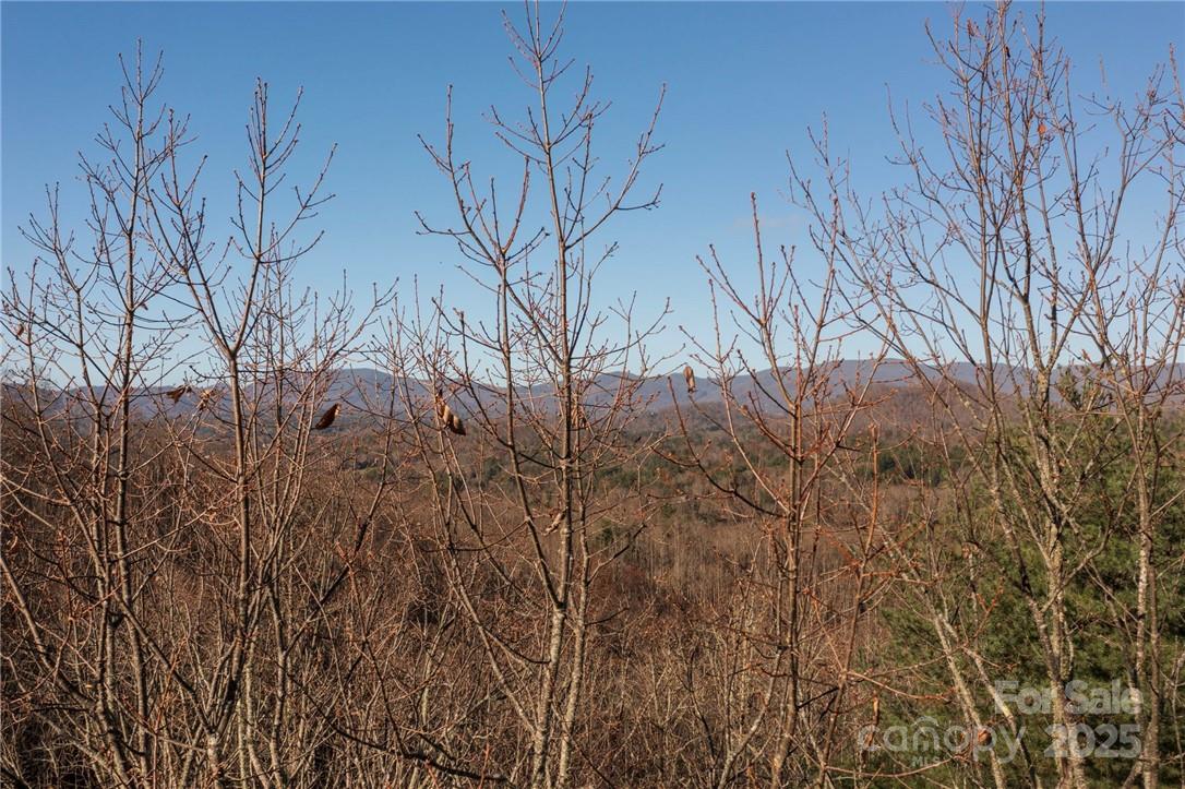 99999 Bishop Cove Road Fairview, NC 28730 - Photo 22 of 28 Gallery Image 22